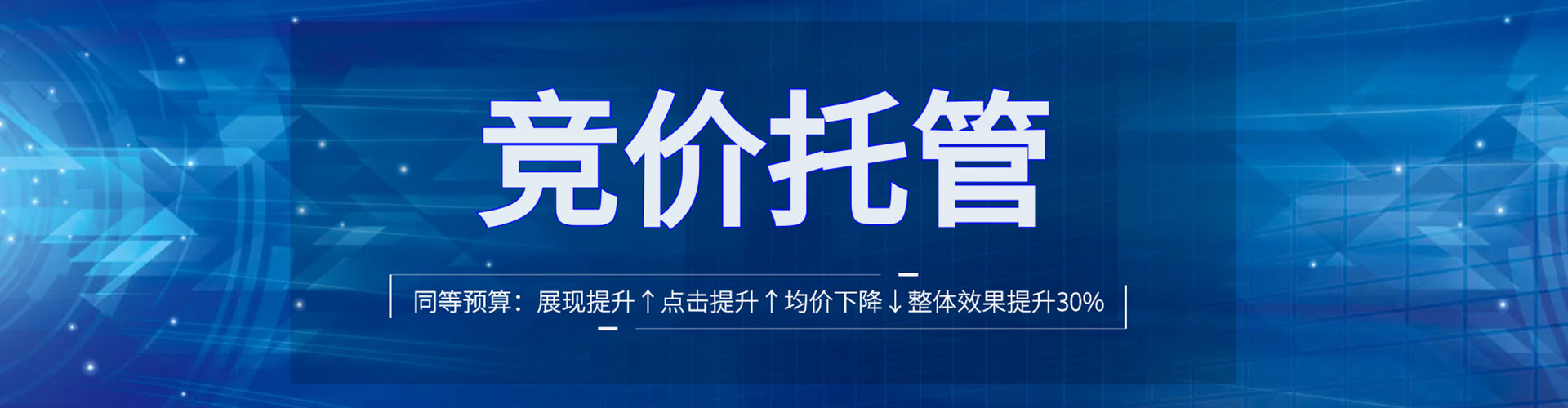 双湖竞价排名