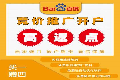 从小白到高手：百度竞价赚钱全记录